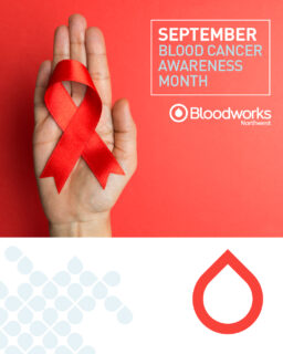 September is Leukemia and Lymphoma Awareness Month. Those blood cancer patients often need dozens of blood and platelet transfusions during their treatments to reach remission and a cure. 

Turn your support into action by donating blood. Schedule your donation at the link in our bio.

#BloodworksNW #DonateBlood #SaveLives #BloodCancer