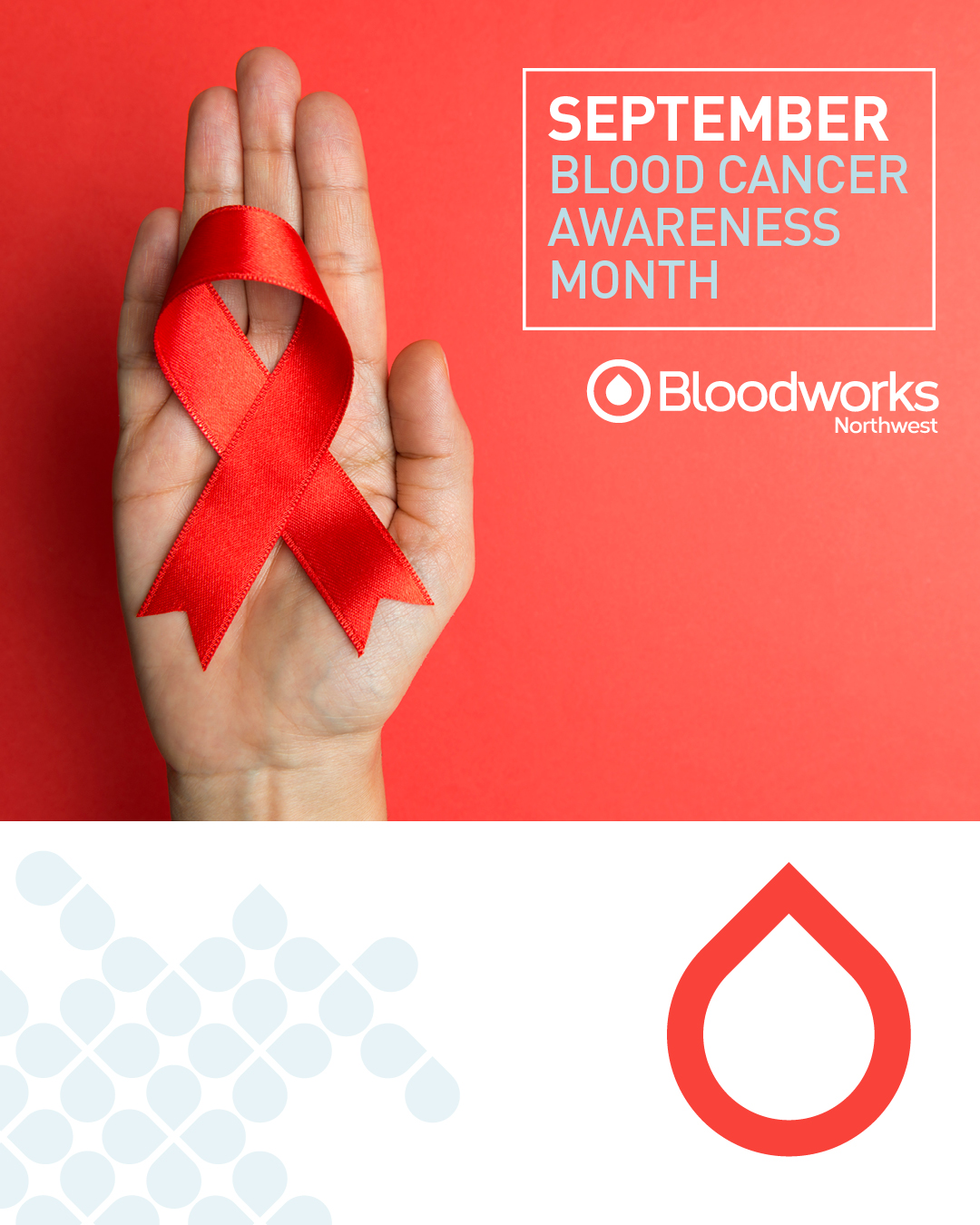 September is Leukemia and Lymphoma Awareness Month. Those blood cancer patients often need dozens of blood and platelet transfusions during their treatments to reach remission and a cure. 

Turn your support into action by donating blood. Schedule your donation at the link in our bio.

#BloodworksNW #DonateBlood #SaveLives #BloodCancer