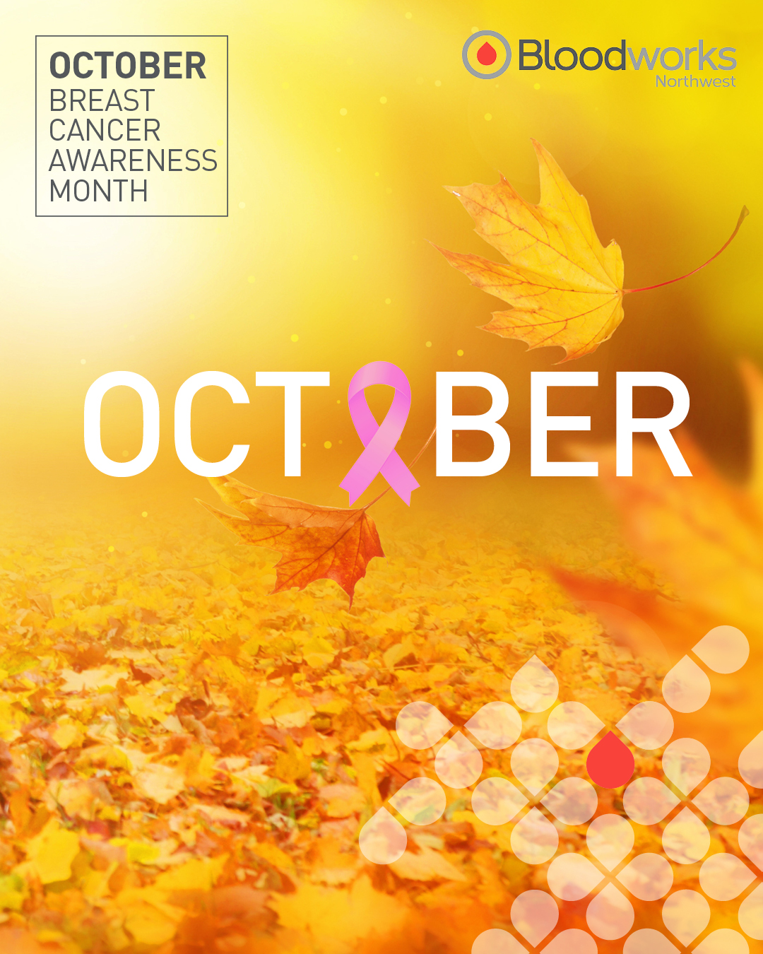October is Breast Cancer Awareness Month. 🩷

Blood and platelet transfusions during cancer treatments help repair and replace blood cells damaged by chemotherapy. Turn your support into action by scheduling your blood donation appointment at the link in our bio.

#BloodworksNW #DonateBlood #BreastCancer #BreastCancerAwareness