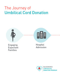 What is the cord blood journey?

It starts at birth with a simple, safe, and painless process. After a baby is delivered and the cord is cut, blood from the umbilical cord is collected. There is no risk to mom or baby, and it does not interfere with those first important bonding moments.

From there, the cord blood is carefully tested, processed, and preserved. The stem cells it contains are frozen and stored until they are needed to help a patient in need of a lifesaving transplant.

One moment can create a lifetime of impact. Learn more at the link in our bio.

#BloodworksNW #CordBlood #DonateLife #SaveLives