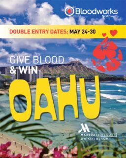 Give local. Save lives. Enter to win a trip to Oahu! 🌴🌺🍍

Schedule your appointment at the link in our bio.

#BloodworksNW #DonateBlood #Giveaway #Hawaii #Oahu
