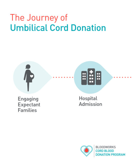 What is the cord blood journey?

It starts at birth with a simple, safe, and painless process. After a baby is delivered and the cord is cut, blood from the umbilical cord is collected. There is no risk to mom or baby, and it does not interfere with those first important bonding moments.

From there, the cord blood is carefully tested, processed, and preserved. The stem cells it contains are frozen and stored until they are needed to help a patient in need of a lifesaving transplant.

One moment can create a lifetime of impact. Learn more at the link in our bio.

#BloodworksNW #CordBlood #DonateLife #SaveLives